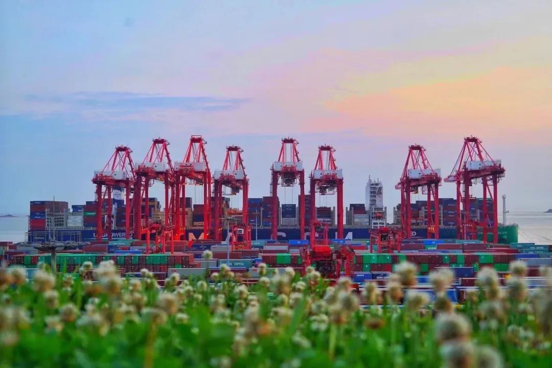 2023年内贸海运集装箱行业的未来生长偏向