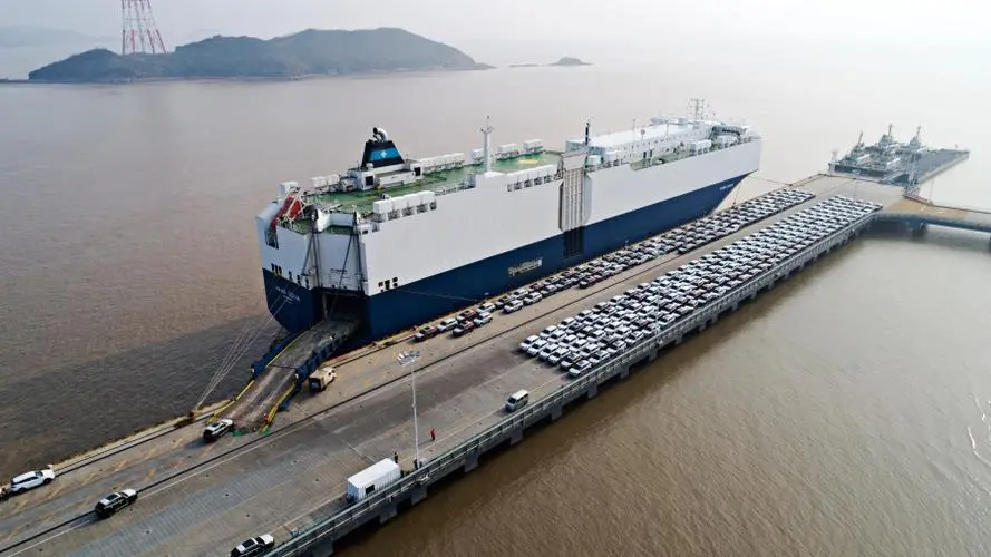 2025海内海运价钱表最新一览 - 云顶国际物流